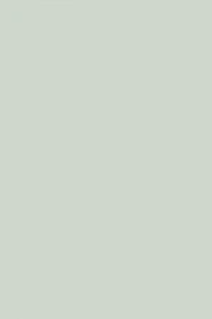 FARROW AND BALL LIGHT BLUE NO. 22 PAINT
